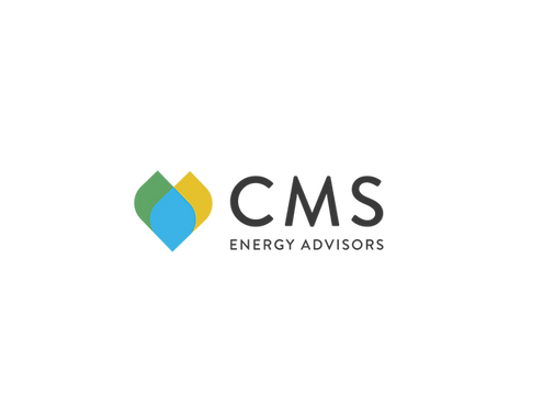 CMS logo