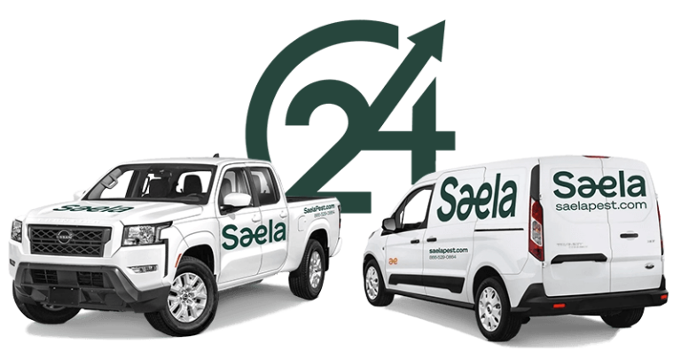 SaelaTrucks 24 768x405