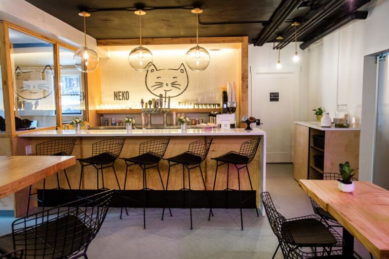 Pratt Neko Cat Cafe 025 768x512